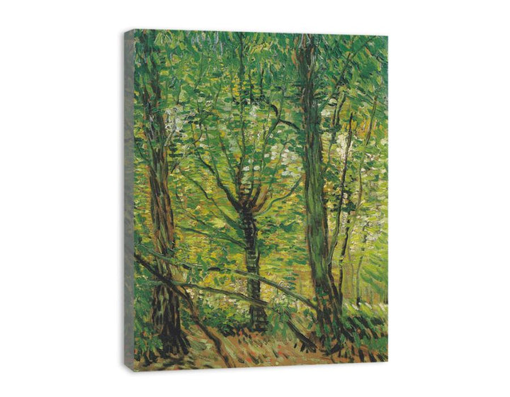 tree And Undergrowth  canvas Print