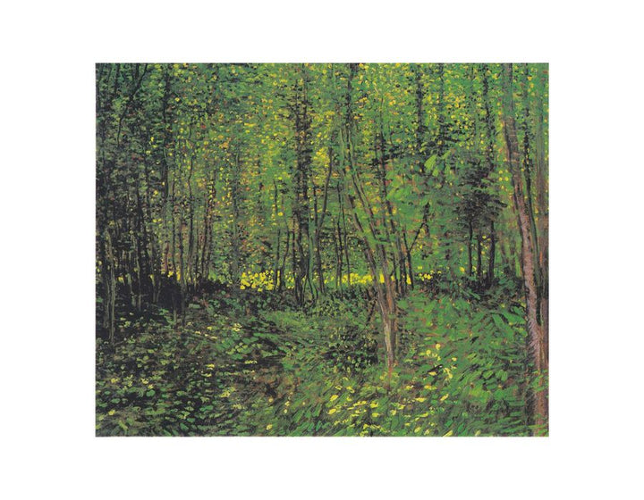 tree And Undergrowth By Van Gogh Art Print.