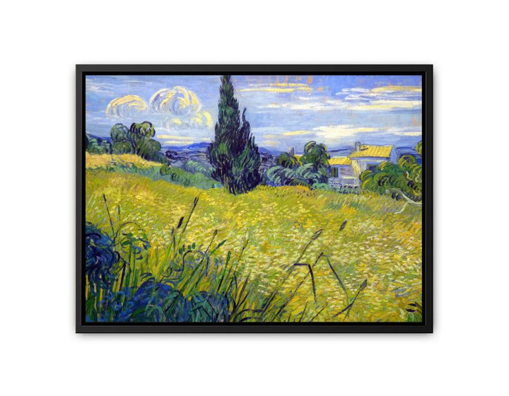 Green Field By Van Gogh  canvas Print