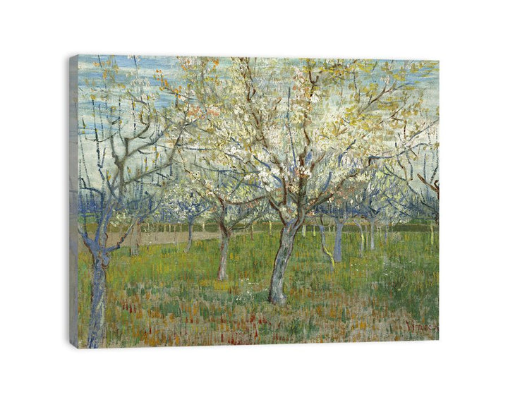 Pink & The White Orchard canvas Print