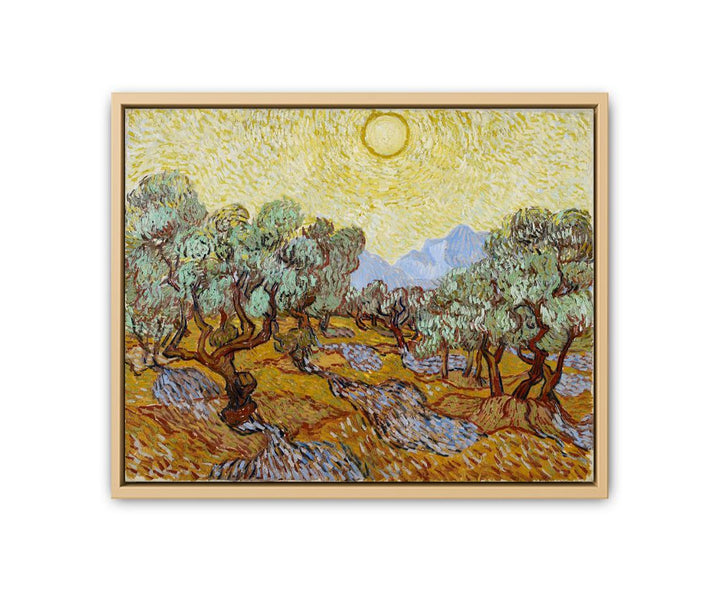 Olive Trees / Olive Trees with yellow sky and sun framed Print