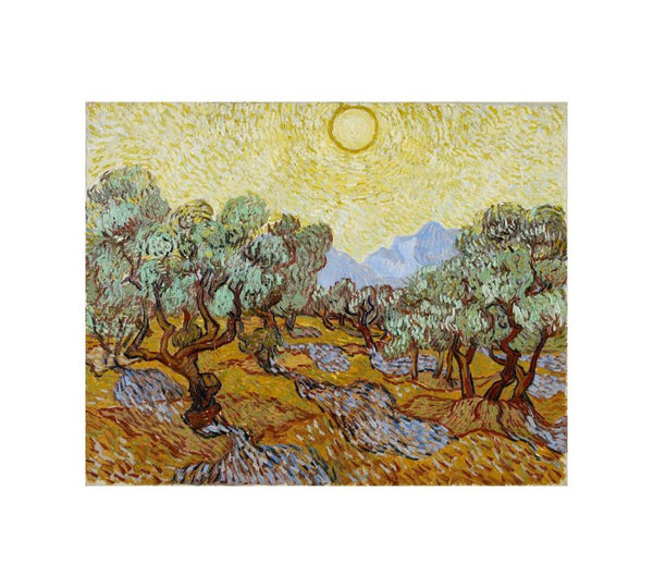 Olive Trees / Olive Trees with yellow sky and sun
