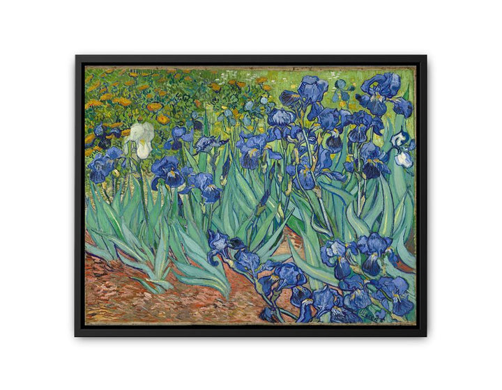 Irises By Van Gogh Painting