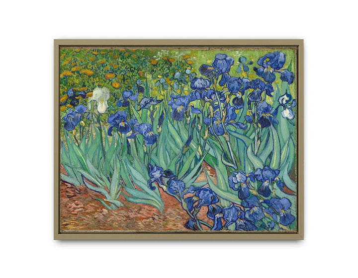 Irises By Van Gogh Painting framed Print