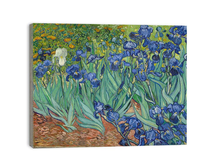 Irises By Van Gogh Painting canvas Print