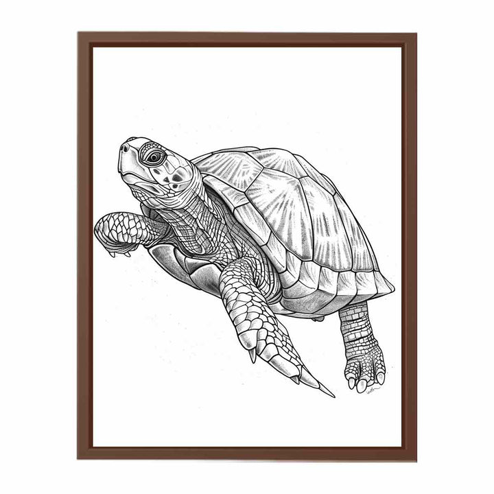 Color Me Turtle Painting