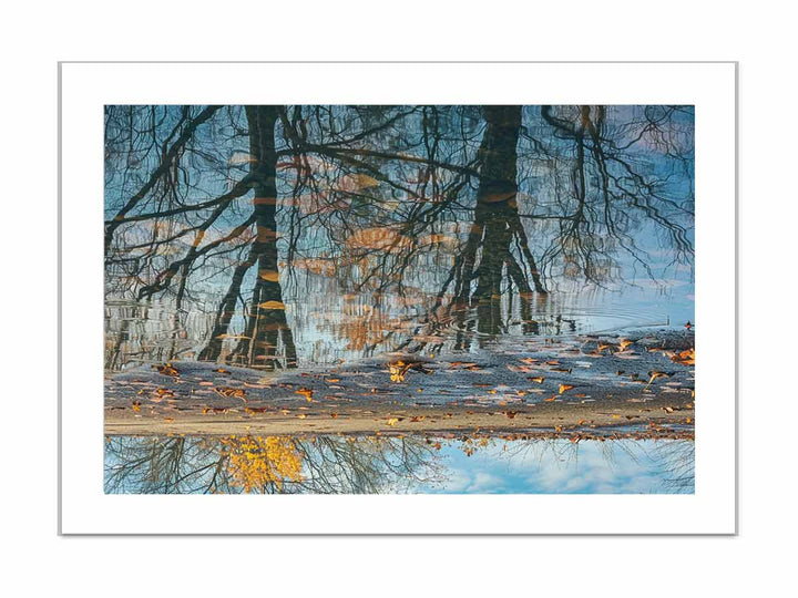 Reflection framed Print