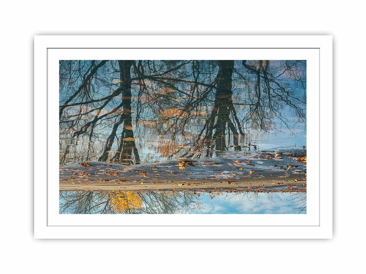 Reflection framed Print