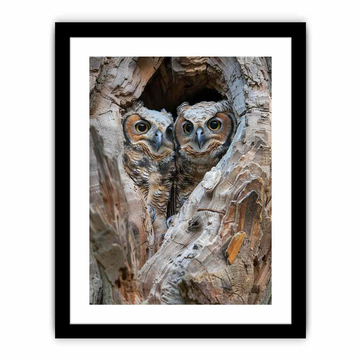 Owlets In Nest Cavity  framed Print