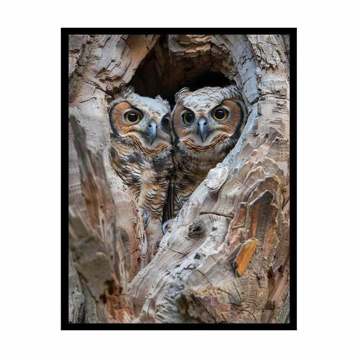 Owlets In Nest Cavity canvas Print