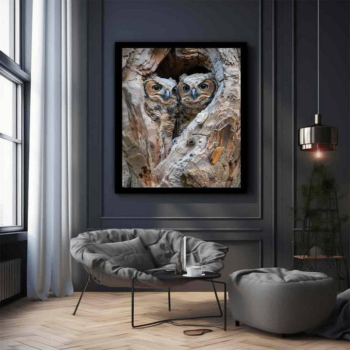 Owlets In Nest Cavity Art Print