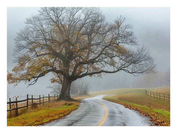 Foggy Road Art Print