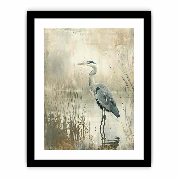 Grey Heron in Water framed Print