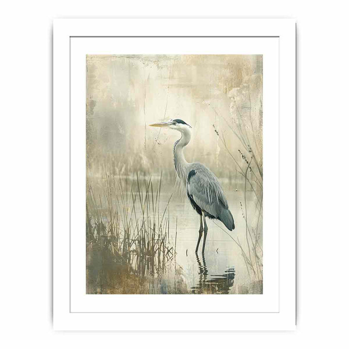 Grey Heron in Water framed Print