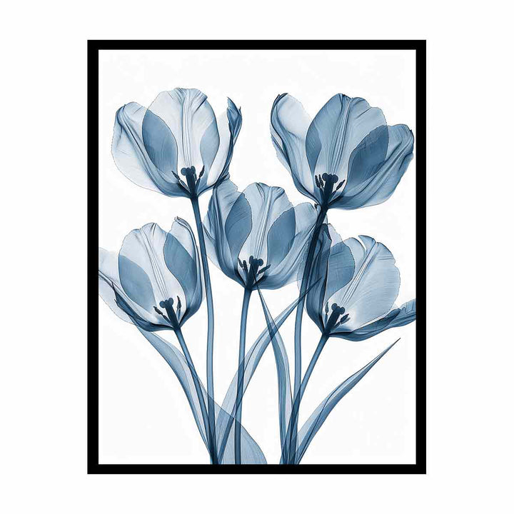 Five Tulips canvas Print