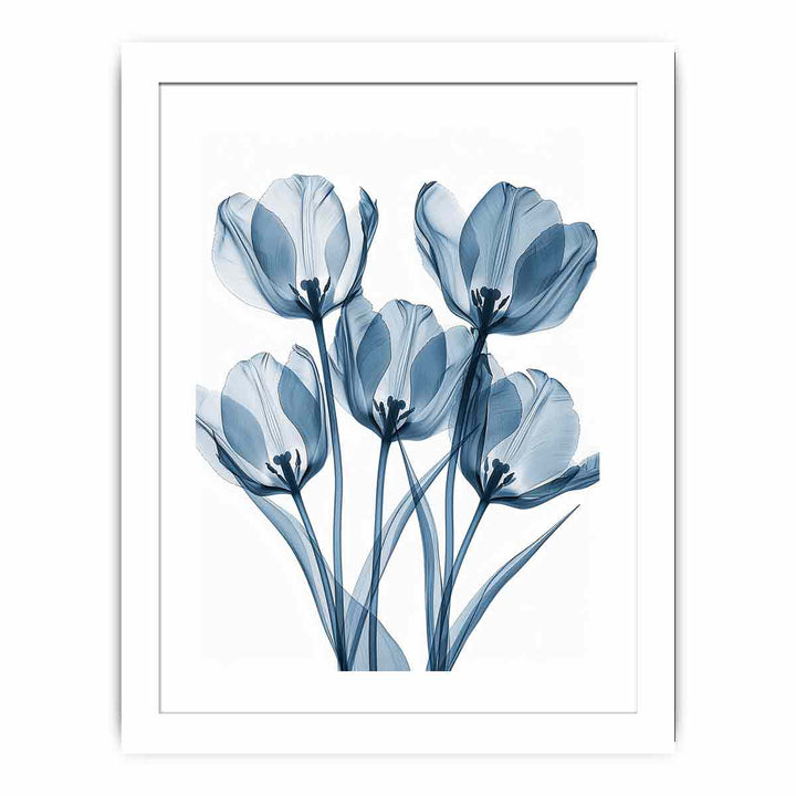 Five Tulips framed Print