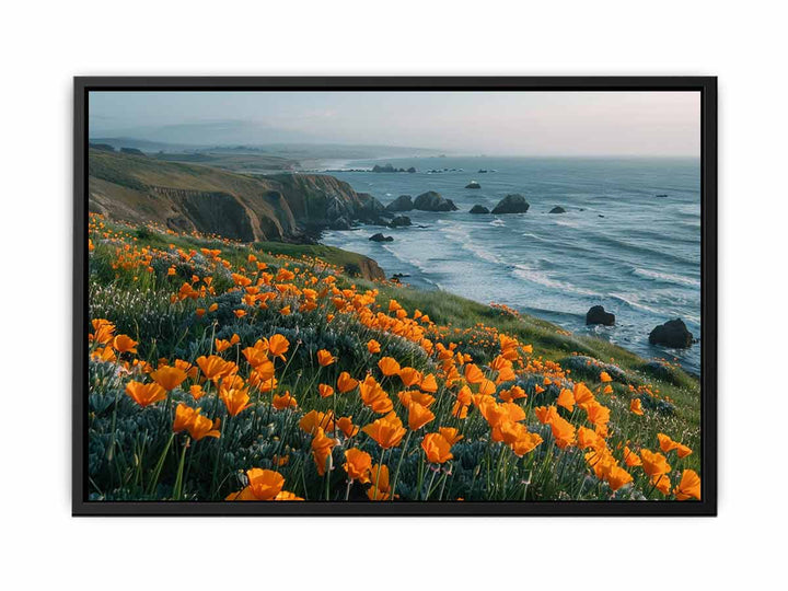 California Poppies Pacific Coast canvas Print