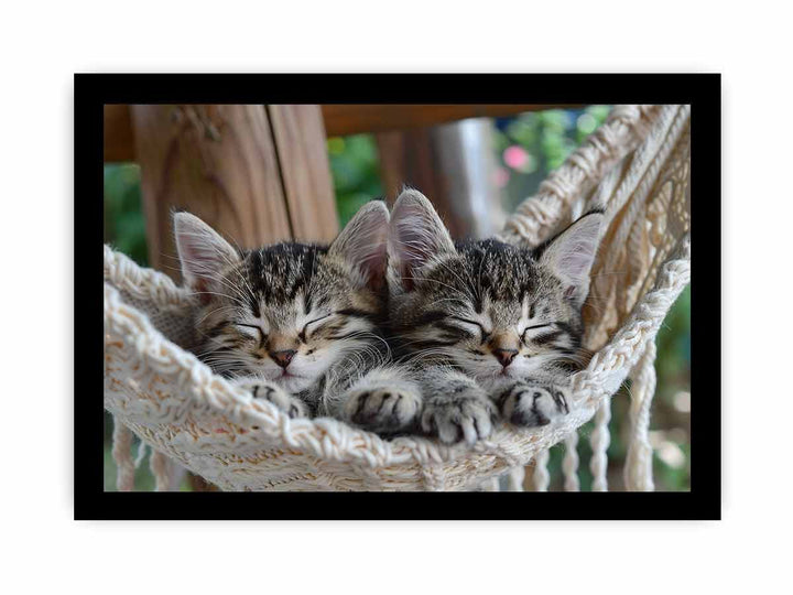 Cute Tabby Kittens framed Print