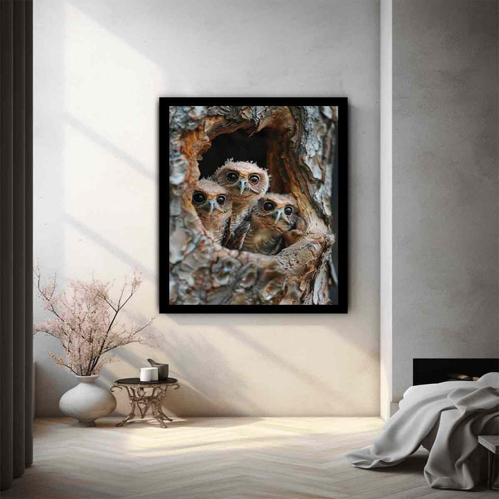 Three Owls Art Print