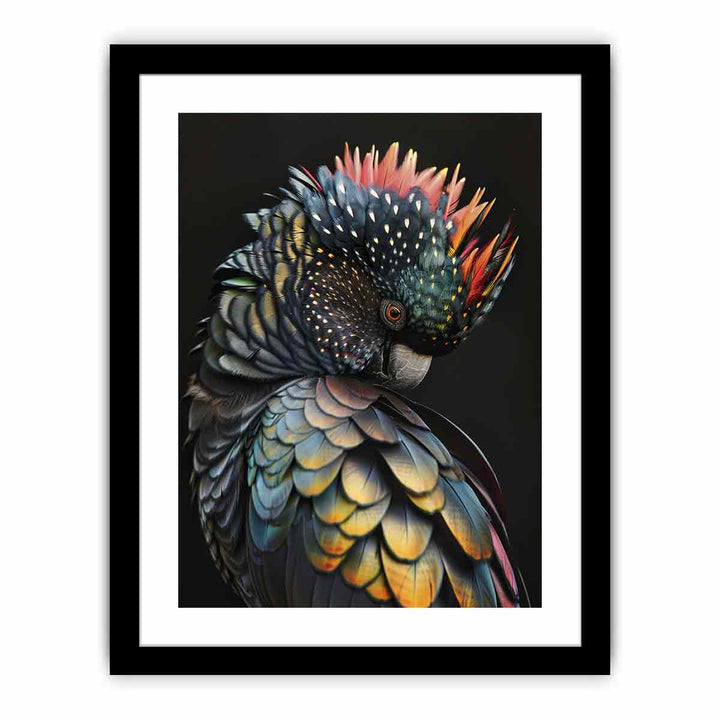 Cockatoo Rainbow framed Print