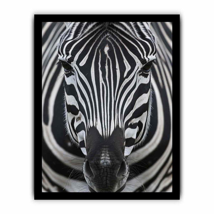  Zebra  Nearby framed Print