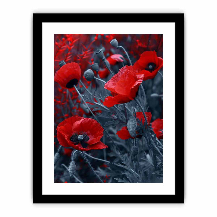 Red  Poppies framed Print