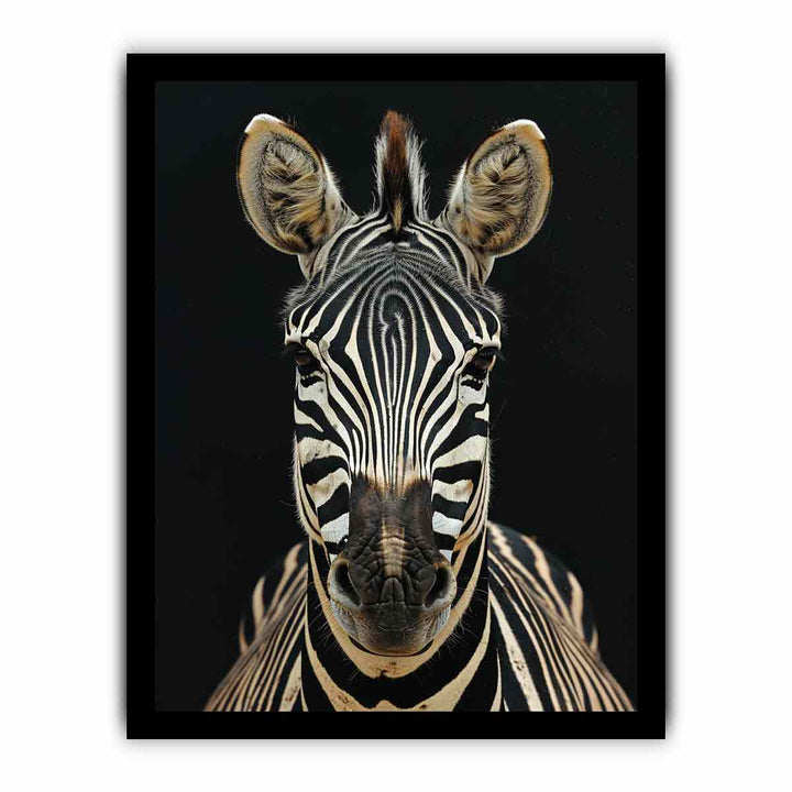 Zebra framed Print