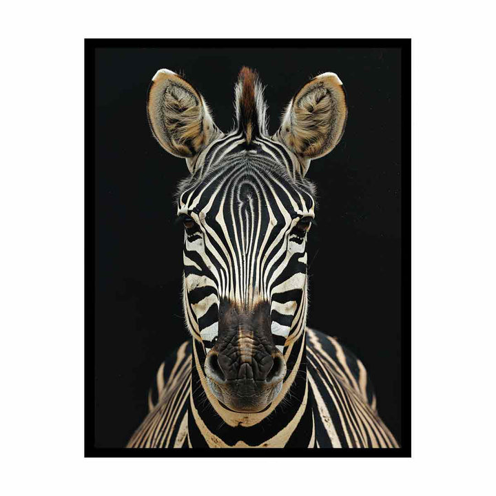 Zebra canvas Print