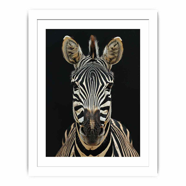 Zebra framed Print