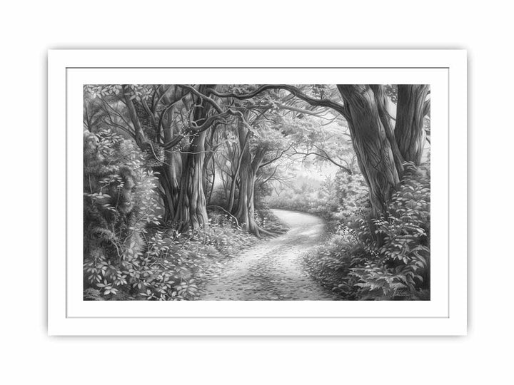 Bush Path Drawing framed Print