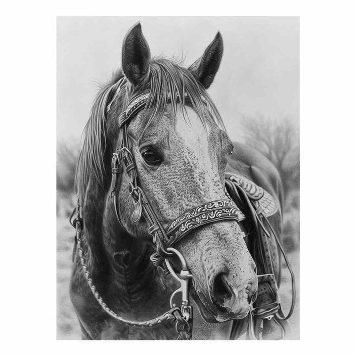 Horse  Drawing Art Print