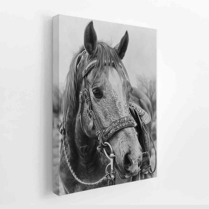 Horse  Drawing canvas Print