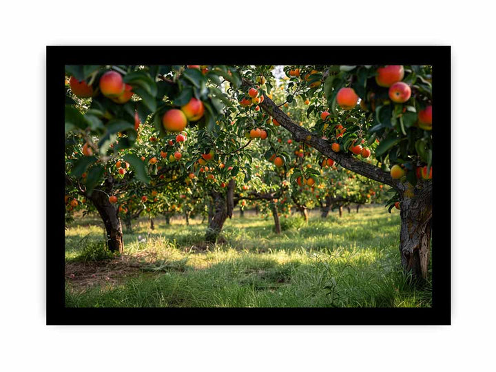 Orchards Art framed Print