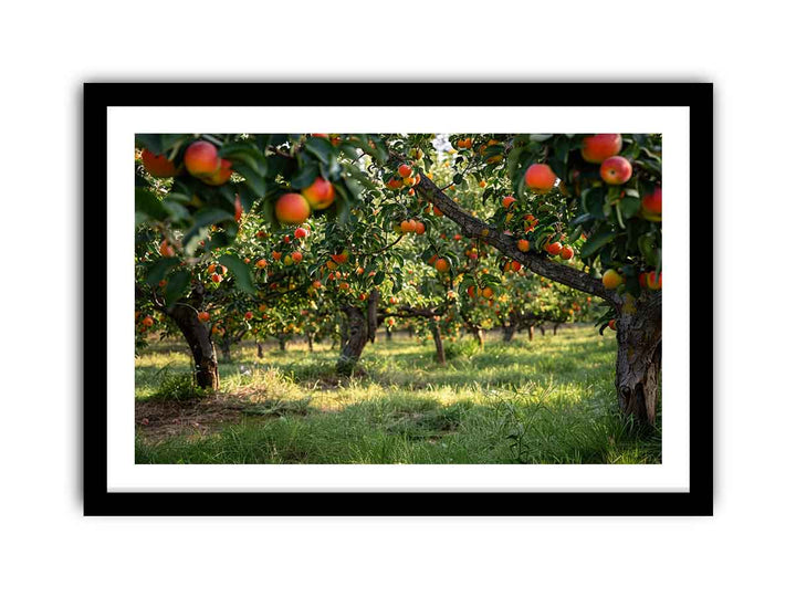 Orchards Art framed Print