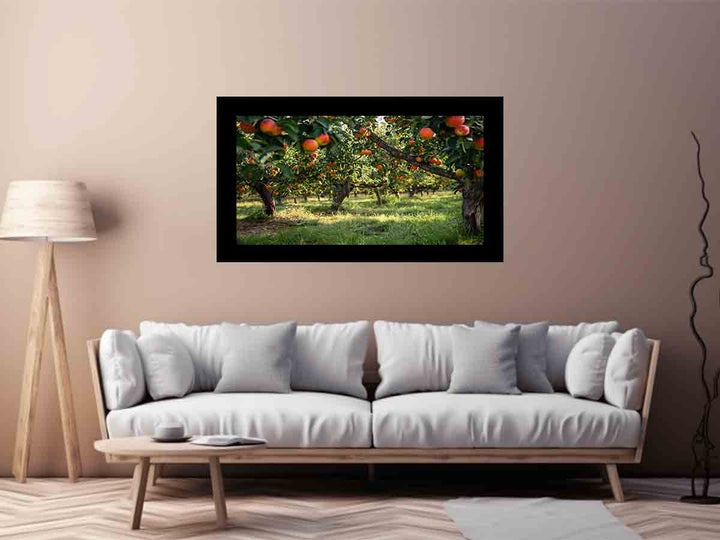 Orchards Art Print