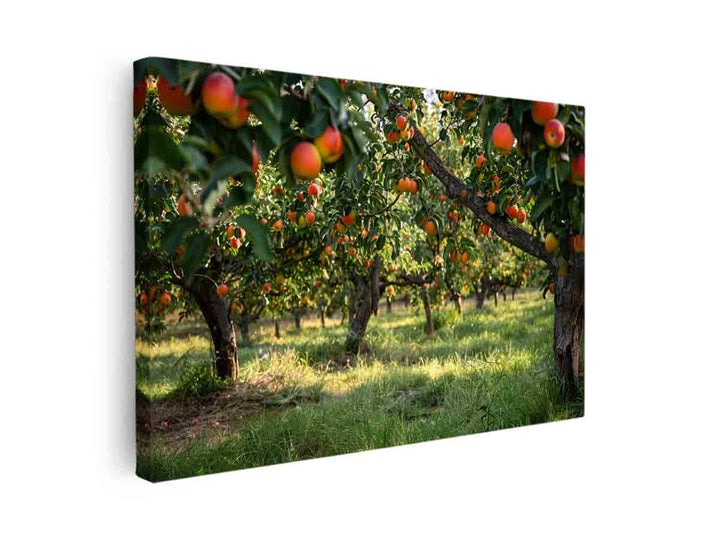 Orchards Art canvas Print