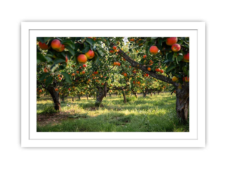 Orchards Art framed Print