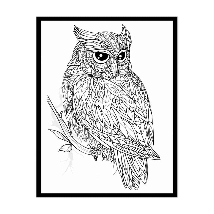 Colour Me  Owl canvas Print