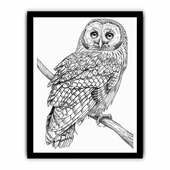 Color Me Owl framed Print