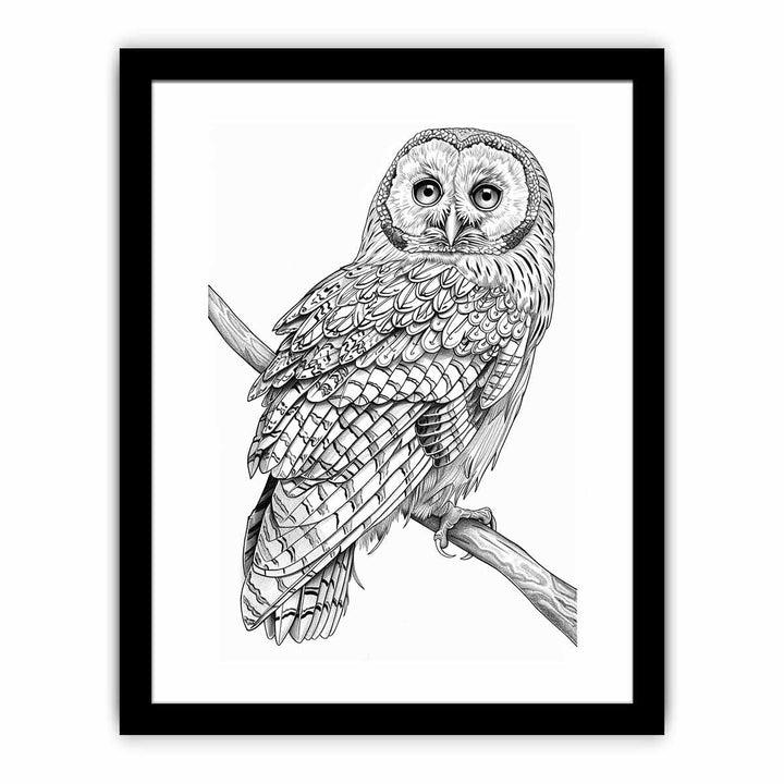 Color Me Owl framed Print