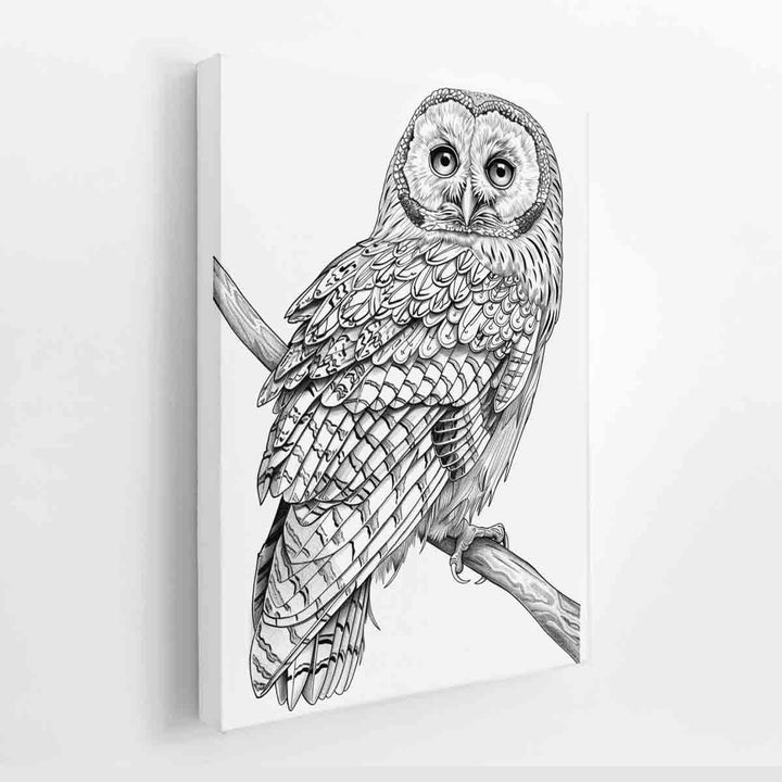 Color Me Owl canvas Print