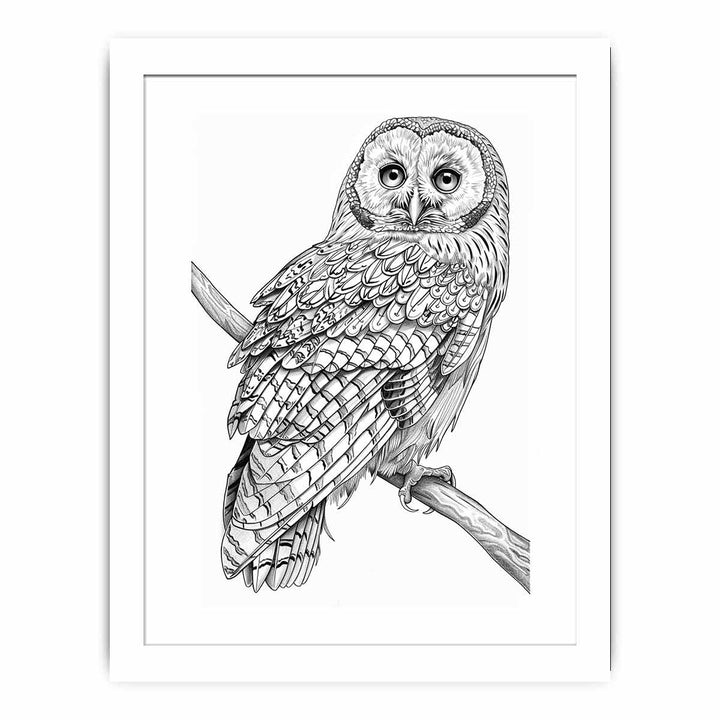 Color Me Owl framed Print