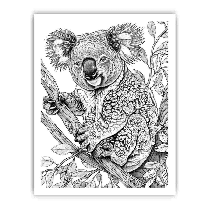 Color Me Koala framed Print