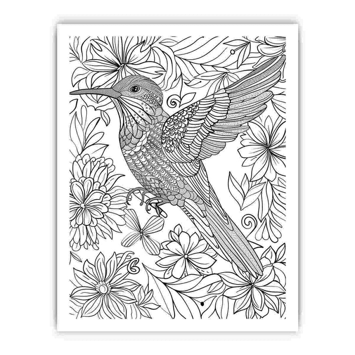 Color Me  Bird framed Print