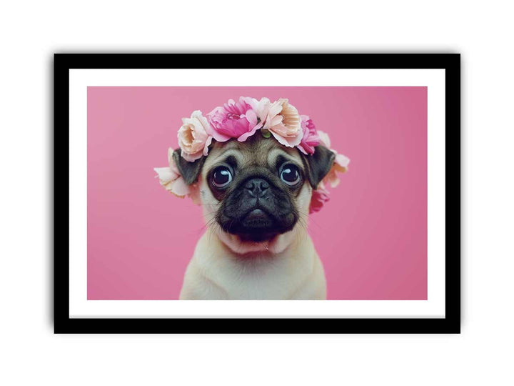 Pug Dog  framed Print