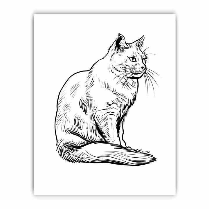 Colour me  Cat framed Print