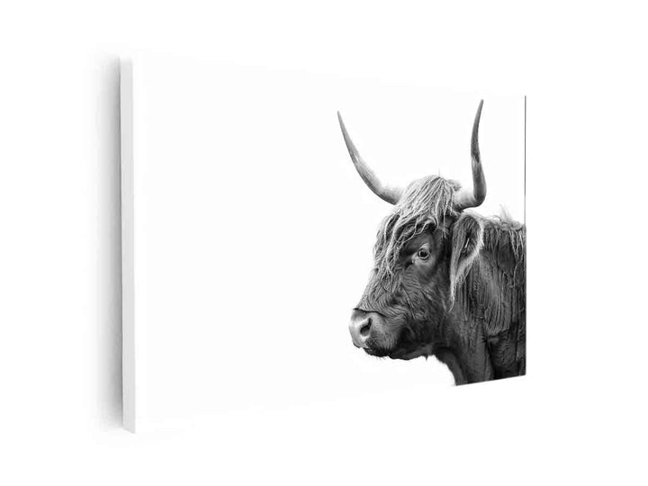 Cow Art  canvas Print