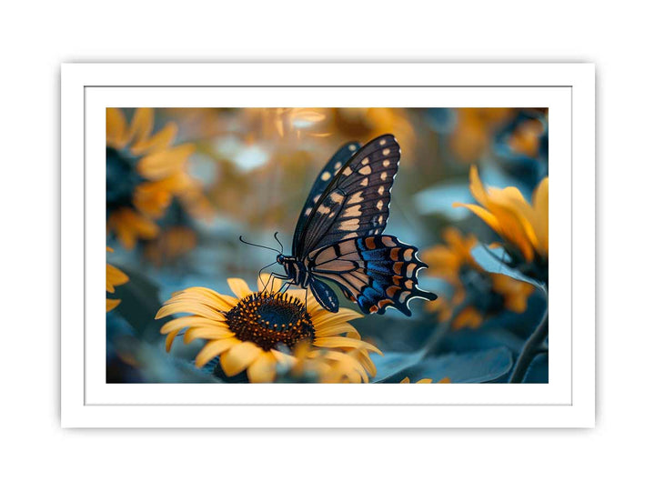 Sunflower Butterfly Art framed Print