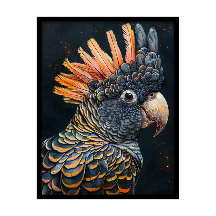 Cockatoo Black canvas Print