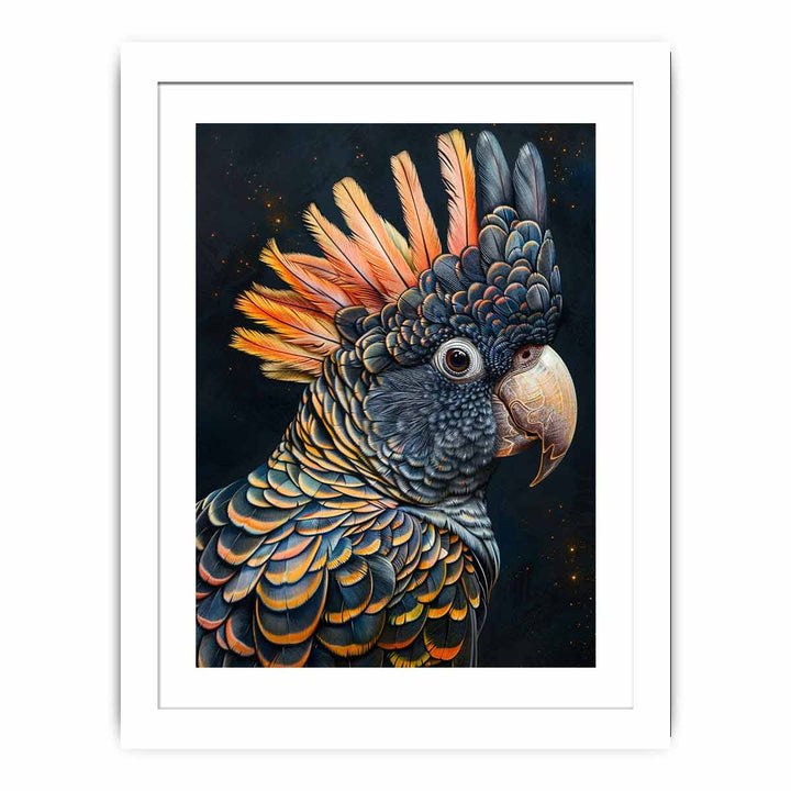 Cockatoo Black framed Print